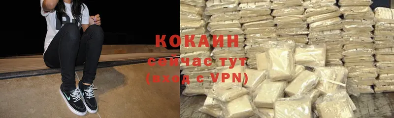 Cocaine FishScale  магазин продажи   Томск 